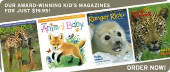 kids magazine gift
